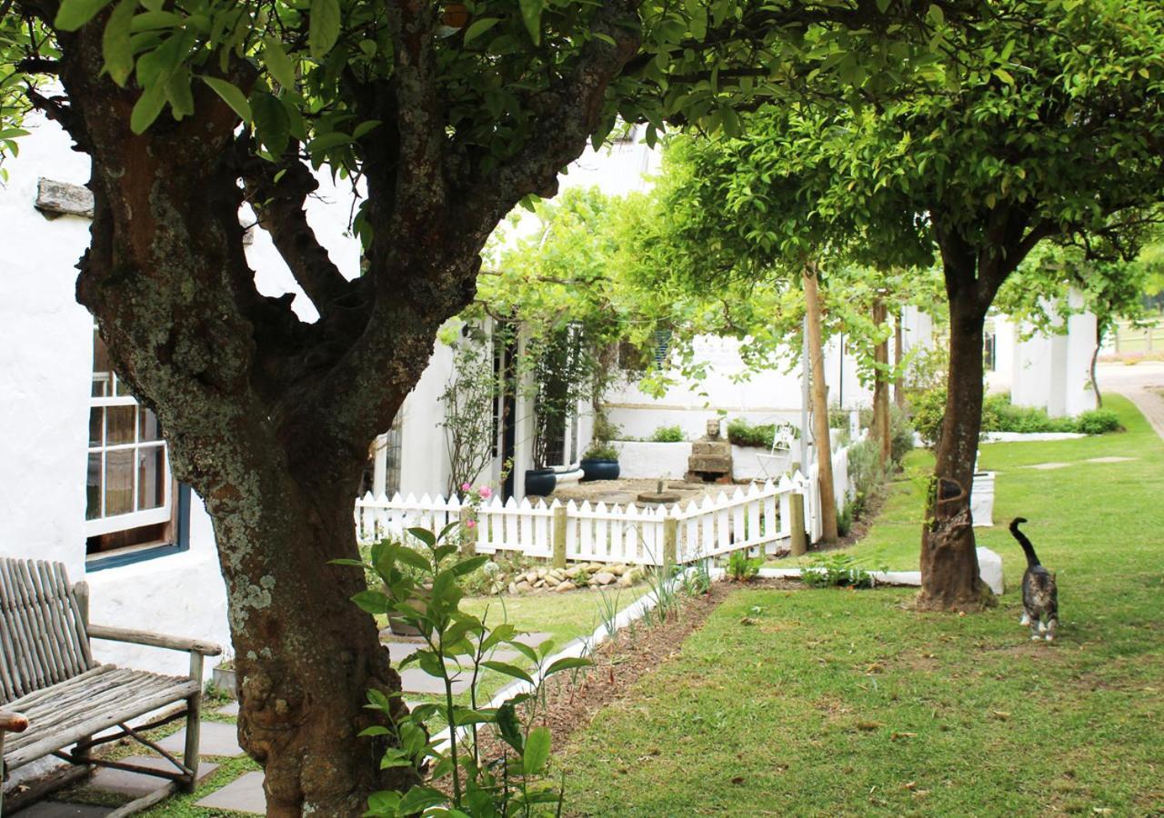 Moffid'S Place Swellendam Esterno foto