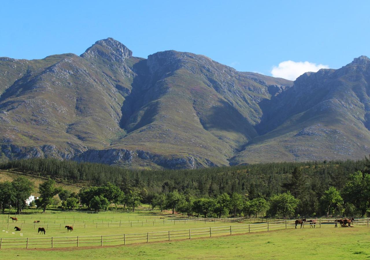 Moffid'S Place Swellendam Esterno foto